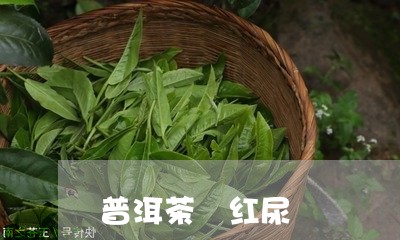 普洱茶 红尿/2023042740594